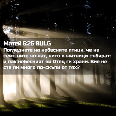 Picture 02 - Матей 6:26 BULG - Погледнете на небесните - Bible Verse Picture