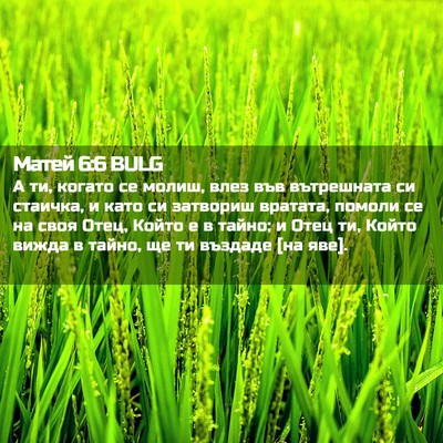 Picture 02 - Матей 6:6 BULG - А ти, когато се молиш, влез - Bible Verse Picture