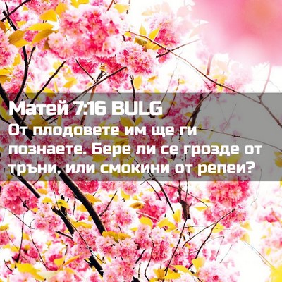 Picture 02 - Матей 7:16 BULG - От плодовете им ще ги - Bible Verse Picture