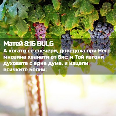 Picture 02 - Матей 8:16 BULG - А когато се свечери, - Bible Verse Picture