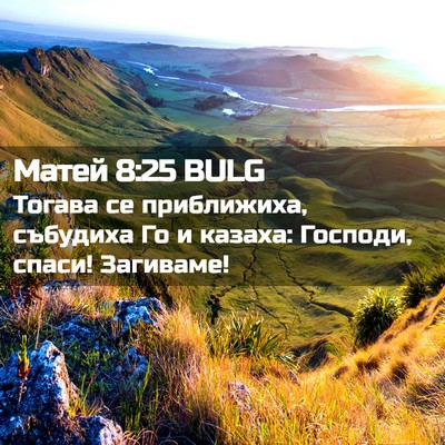 Picture 02 - Матей 8:25 BULG - Тогава се приближиха, - Bible Verse Picture
