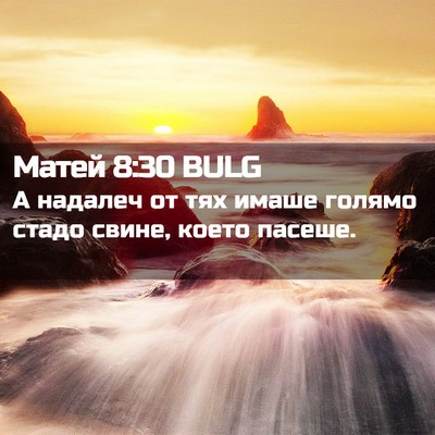 Picture 02 - Матей 8:30 BULG - А надалеч от тях имаше - Bible Verse Picture