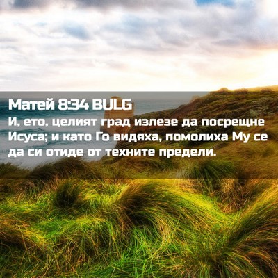 Picture 02 - Матей 8:34 BULG - И, ето, целият град излезе - Bible Verse Picture