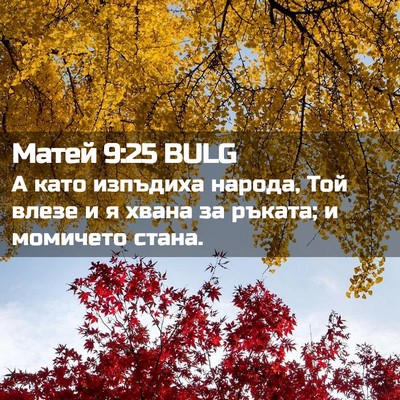 Picture 02 - Матей 9:25 BULG - А като изпъдиха народа, Той - Bible Verse Picture