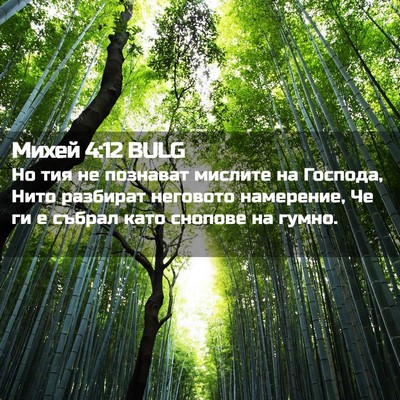 Picture 02 - Михей 4:12 BULG - Но тия не познават мислите - Bible Verse Picture