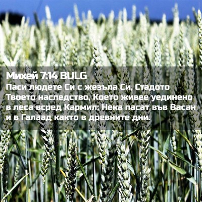 Picture 02 - Михей 7:14 BULG - Паси людете Си с жезъла Си, - Bible Verse Picture