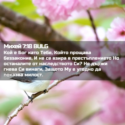 Picture 02 - Михей 7:18 BULG - Кой е Бог като Тебе, Който - Bible Verse Picture