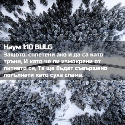 Picture 02 - Наум 1:10 BULG - Защото, сплетени ако и да - Bible Verse Picture