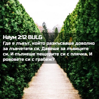 Picture 02 - Наум 2:12 BULG - Где е лъвът, който - Bible Verse Picture