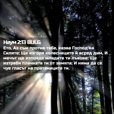 Picture 02 - Наум 2:13 BULG - Ето, Аз съм против тебе, - Bible Verse Picture
