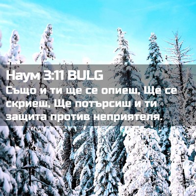 Picture 02 - Наум 3:11 BULG - Също и ти ще се опиеш, Ще се - Bible Verse Picture