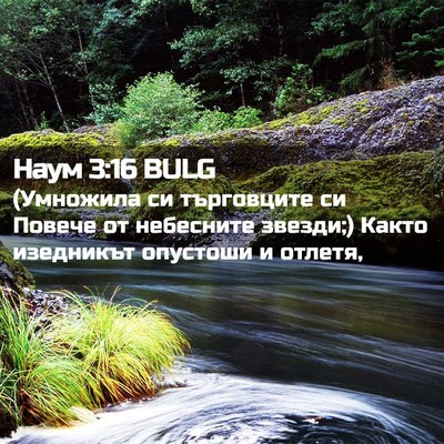 Picture 02 - Наум 3:16 BULG - (Умножила си търговците си - Bible Verse Picture
