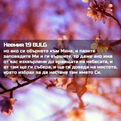 Picture 02 - Неемия 1:9 BULG - но ако се обърнете към - Bible Verse Picture