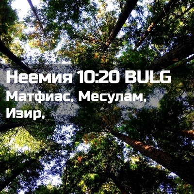 Picture 02 - Неемия 10:20 BULG - Матфиас, Месулам, - Bible Verse Picture