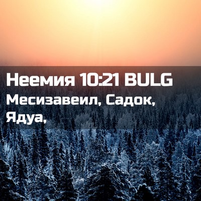 Picture 02 - Неемия 10:21 BULG - Месизавеил, Садок, - Bible Verse Picture