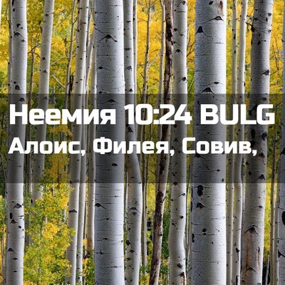 Picture 02 - Неемия 10:24 BULG - Алоис, Филея, - Bible Verse Picture