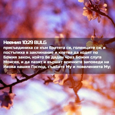 Picture 02 - Неемия 10:29 BULG - присъединиха се към - Bible Verse Picture