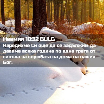 Picture 02 - Неемия 10:32 BULG - Наредихме Си още да се - Bible Verse Picture