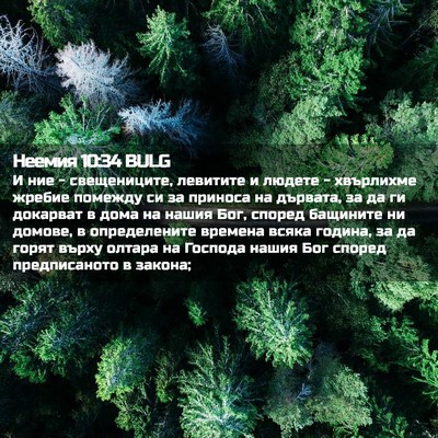 Picture 02 - Неемия 10:34 BULG - И ние - свещениците, - Bible Verse Picture