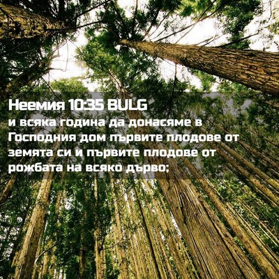Picture 02 - Неемия 10:35 BULG - и всяка година да донасяме - Bible Verse Picture