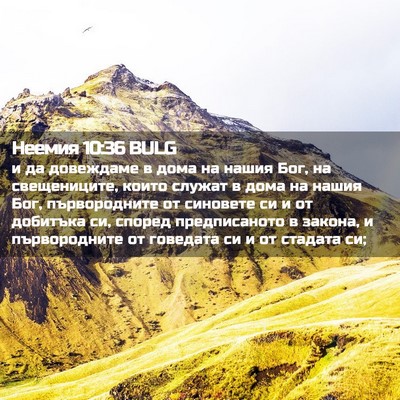 Picture 02 - Неемия 10:36 BULG - и да довеждаме в дома на - Bible Verse Picture