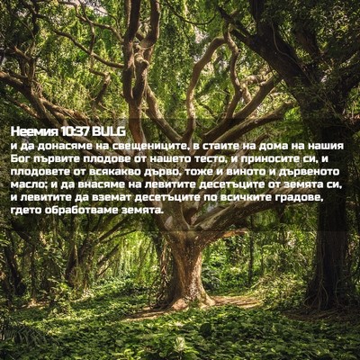 Picture 02 - Неемия 10:37 BULG - и да донасяме на - Bible Verse Picture