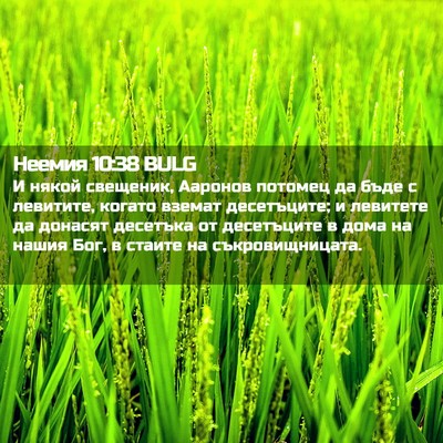 Picture 02 - Неемия 10:38 BULG - И някой свещеник, Ааронов - Bible Verse Picture