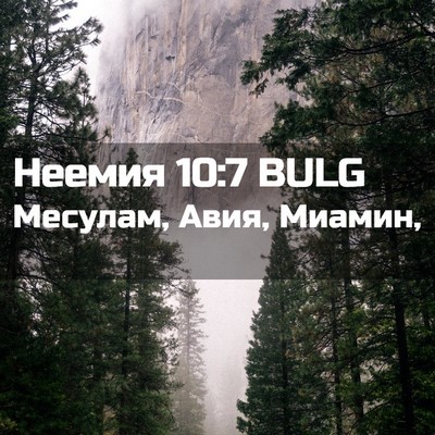 Picture 02 - Неемия 10:7 BULG - Месулам, Авия, - Bible Verse Picture