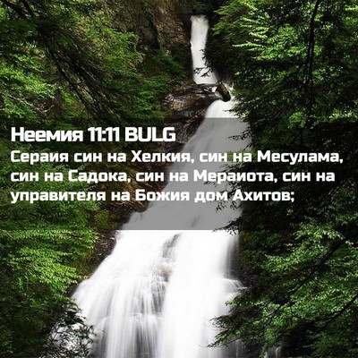 Picture 02 - Неемия 11:11 BULG - Сераия син на Хелкия, син - Bible Verse Picture