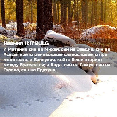 Picture 02 - Неемия 11:17 BULG - И Матания син на Михея, син - Bible Verse Picture