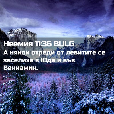 Picture 02 - Неемия 11:36 BULG - А някои отреди от левитите - Bible Verse Picture
