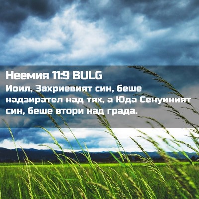 Picture 02 - Неемия 11:9 BULG - Иоил, Захриевият син, беше - Bible Verse Picture