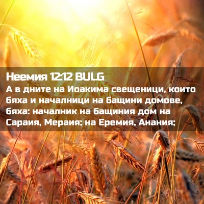Picture 02 - Неемия 12:12 BULG - А в дните на Иоакима - Bible Verse Picture