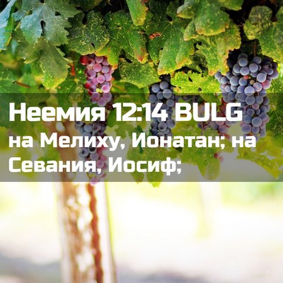 Picture 02 - Неемия 12:14 BULG - на Мелиху, Ионатан; на - Bible Verse Picture