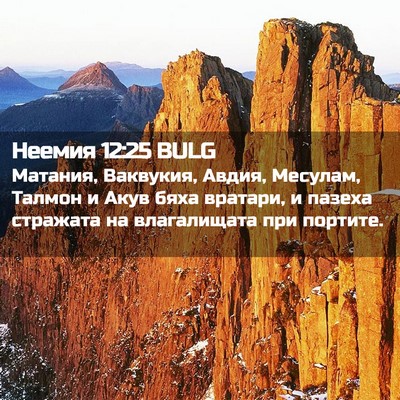 Picture 02 - Неемия 12:25 BULG - Матания, Ваквукия, Авдия, - Bible Verse Picture