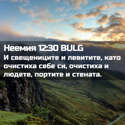 Picture 02 - Неемия 12:30 BULG - И свещениците и левитите, - Bible Verse Picture