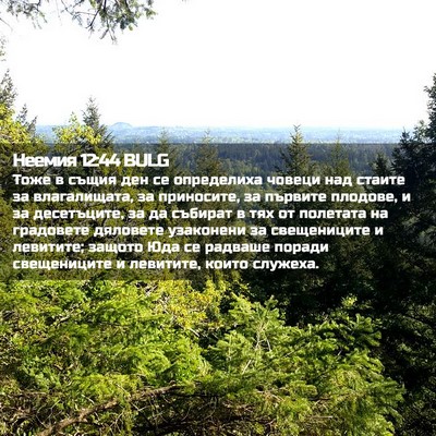 Picture 02 - Неемия 12:44 BULG - Тоже в същия ден се - Bible Verse Picture