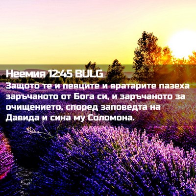 Picture 02 - Неемия 12:45 BULG - Защото те и певците и - Bible Verse Picture