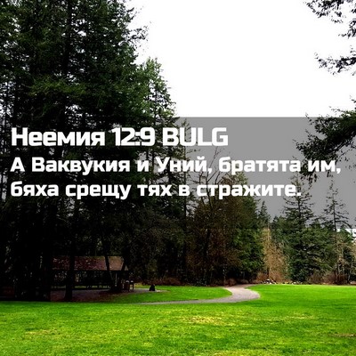Picture 02 - Неемия 12:9 BULG - А Ваквукия и Уний, братята - Bible Verse Picture