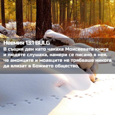 Picture 02 - Неемия 13:1 BULG - В същия ден като чакаха - Bible Verse Picture