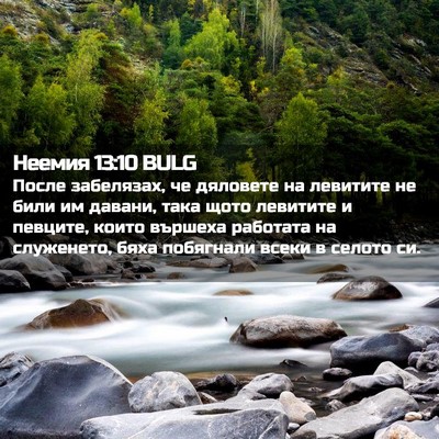 Picture 02 - Неемия 13:10 BULG - После забелязах, че - Bible Verse Picture