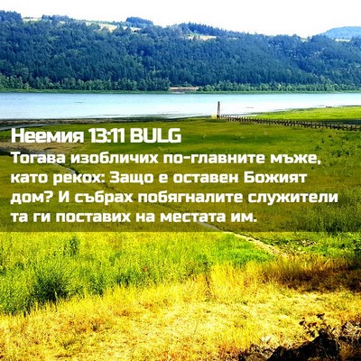 Picture 02 - Неемия 13:11 BULG - Тогава изобличих - Bible Verse Picture