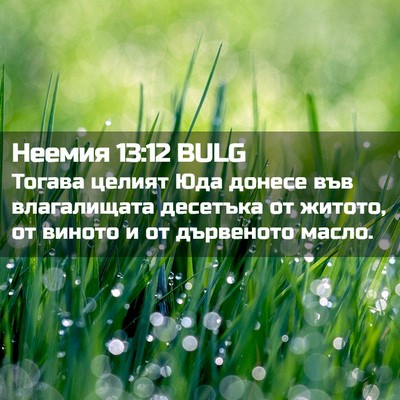 Picture 02 - Неемия 13:12 BULG - Тогава целият Юда донесе - Bible Verse Picture