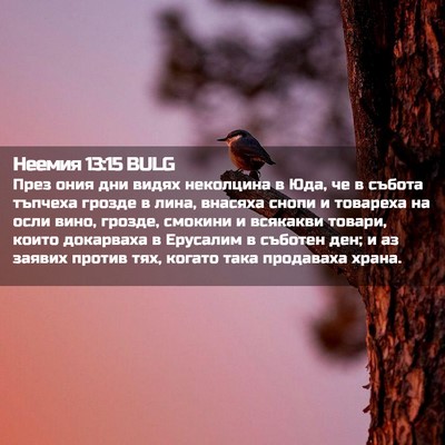 Picture 02 - Неемия 13:15 BULG - През ония дни видях - Bible Verse Picture