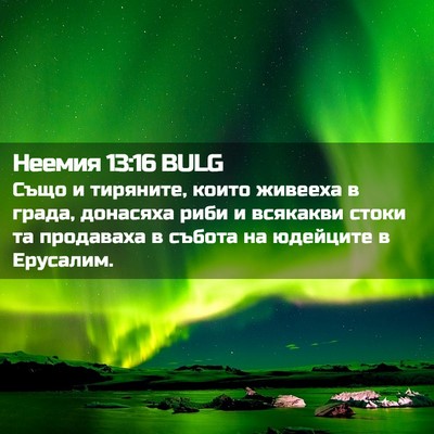 Picture 02 - Неемия 13:16 BULG - Също и тиряните, които - Bible Verse Picture