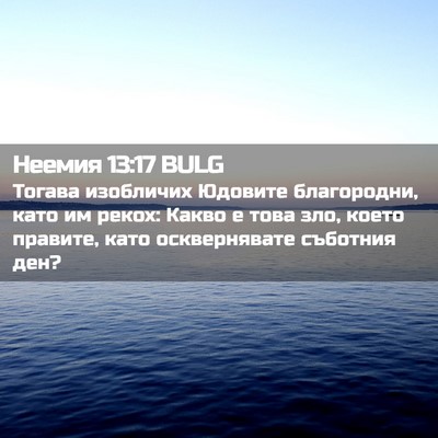 Picture 02 - Неемия 13:17 BULG - Тогава изобличих Юдовите - Bible Verse Picture