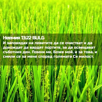 Picture 02 - Неемия 13:22 BULG - И заповядах на левитите да - Bible Verse Picture