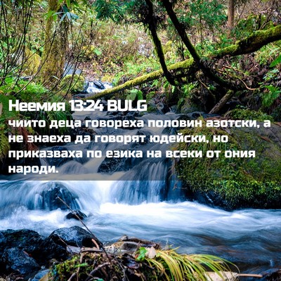 Picture 02 - Неемия 13:24 BULG - чиито деца говореха - Bible Verse Picture