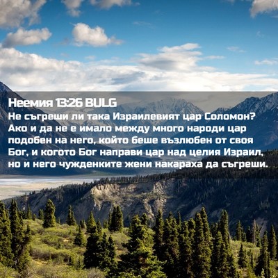 Picture 02 - Неемия 13:26 BULG - Не съгреши ли така - Bible Verse Picture
