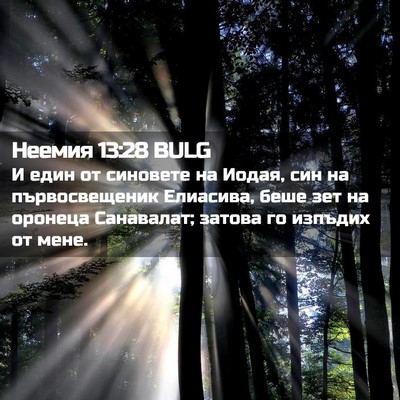 Picture 02 - Неемия 13:28 BULG - И един от синовете на - Bible Verse Picture